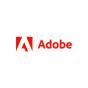 San Diego, California, United States agency TEAM LEWIS helped Adobe grow their business with SEO and digital marketing