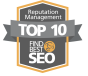 New York, New York, United States agency SEO Image - SEO &amp; Reputation Management wins Too 10 SEO award