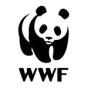 Singapore agency MediaOne helped World Wildlife Fund grow their business with SEO and digital marketing