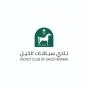 Riyadh, Riyadh Province, Saudi Arabia agency Perpetual Agency helped Jockey Club Of Saudi Arabia grow their business with SEO and digital marketing