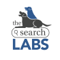 The Search Labs