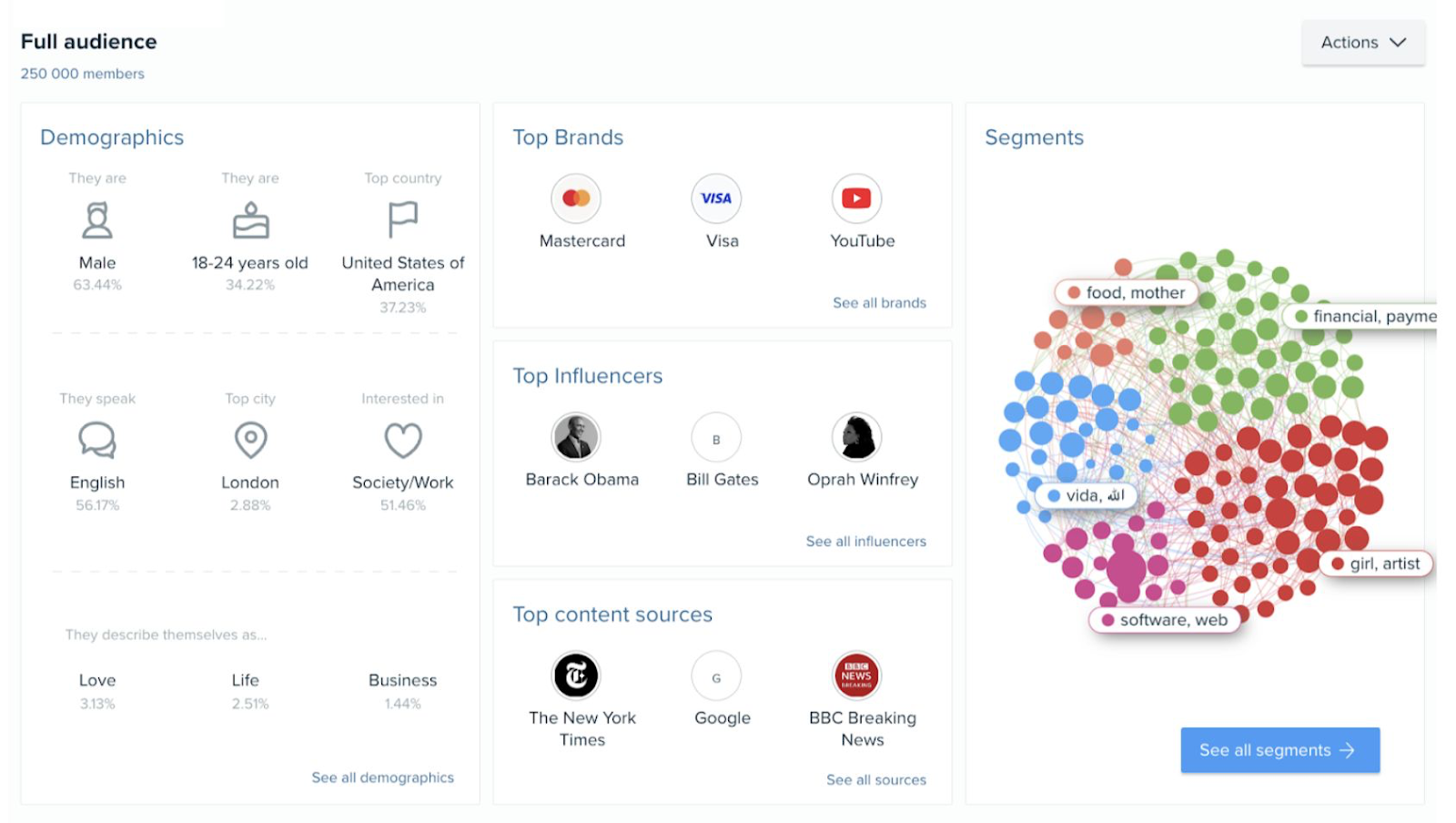 Audience analyses by the Audience intelligence app showing metrics like demographics and top brands.