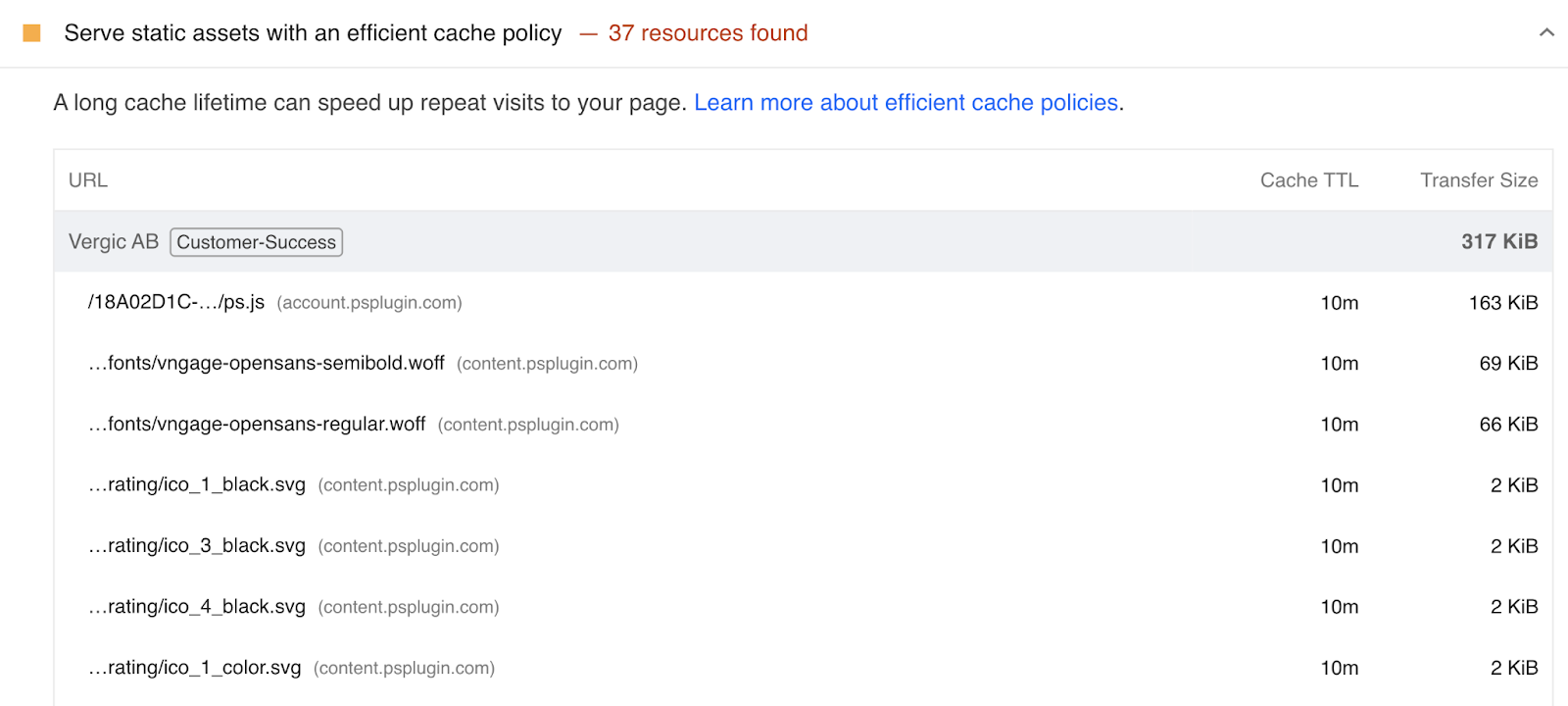 Lighthouse report shows some static assets have 10m cache policy