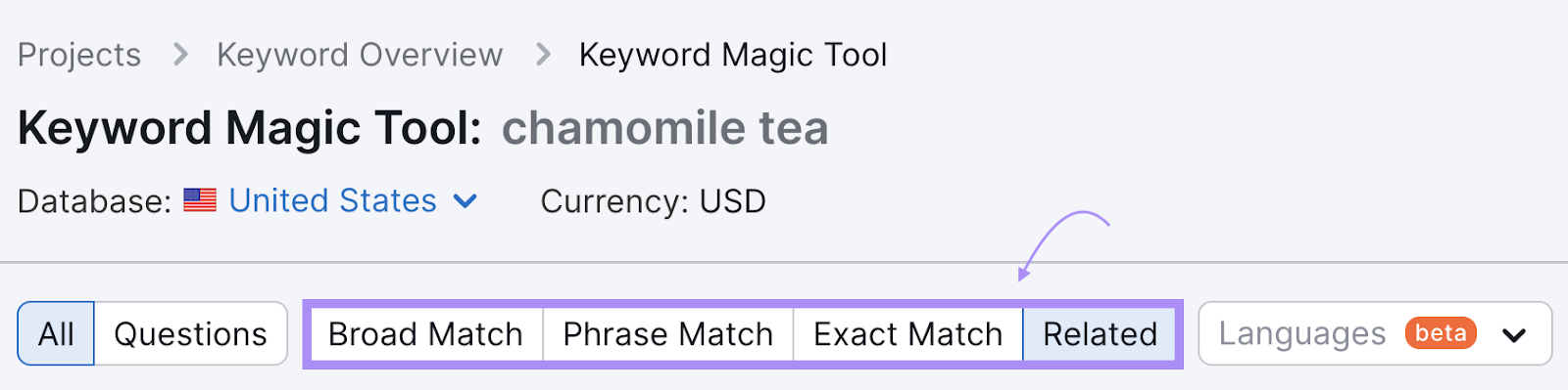 a section with different types of matches highlighted