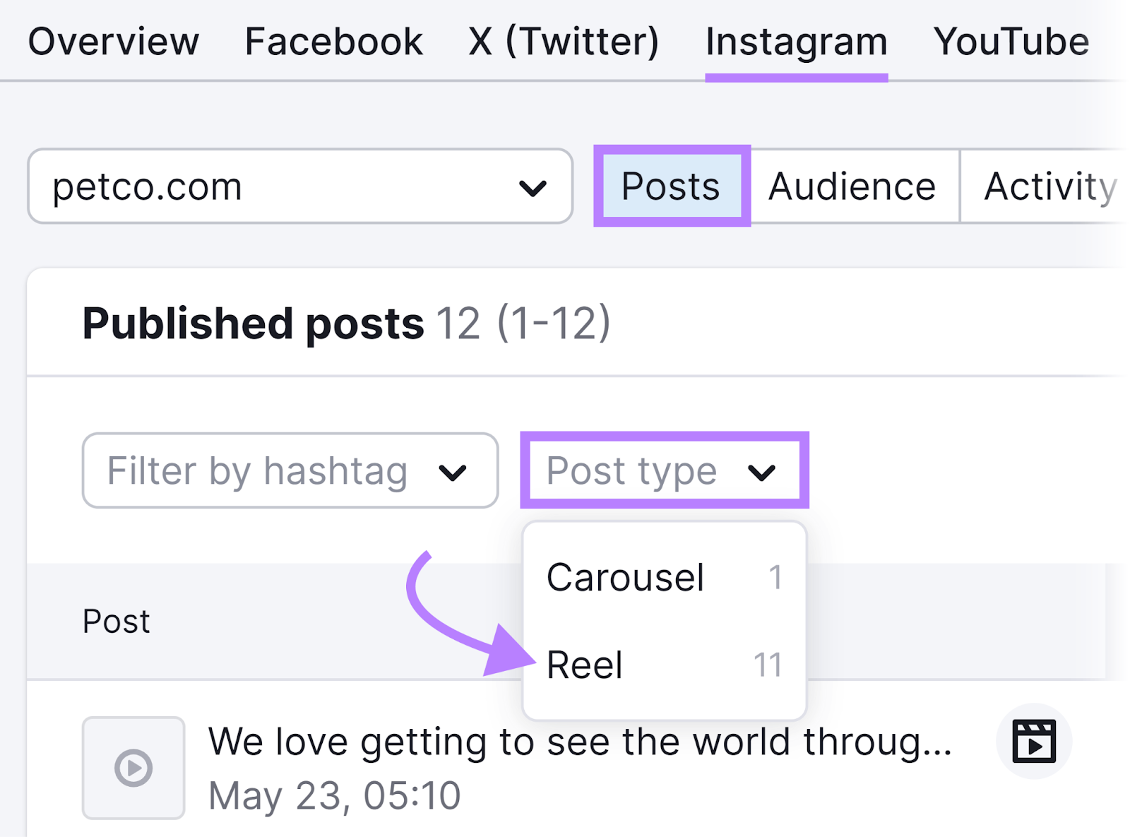 Instagram tab showing Posts data with Post type dropdown expanded and arrow pointing to Reel.