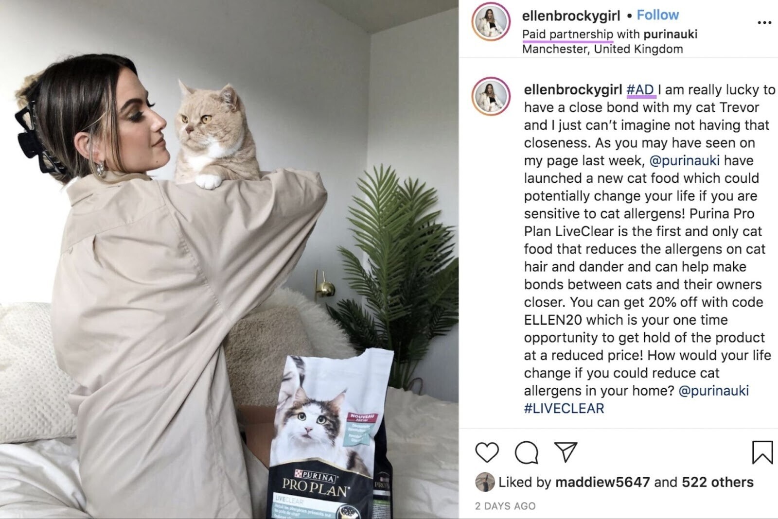 an example of an influencer partnership between an influencer "ellenbrockygirl" and a brand "purinauki" on Instagram