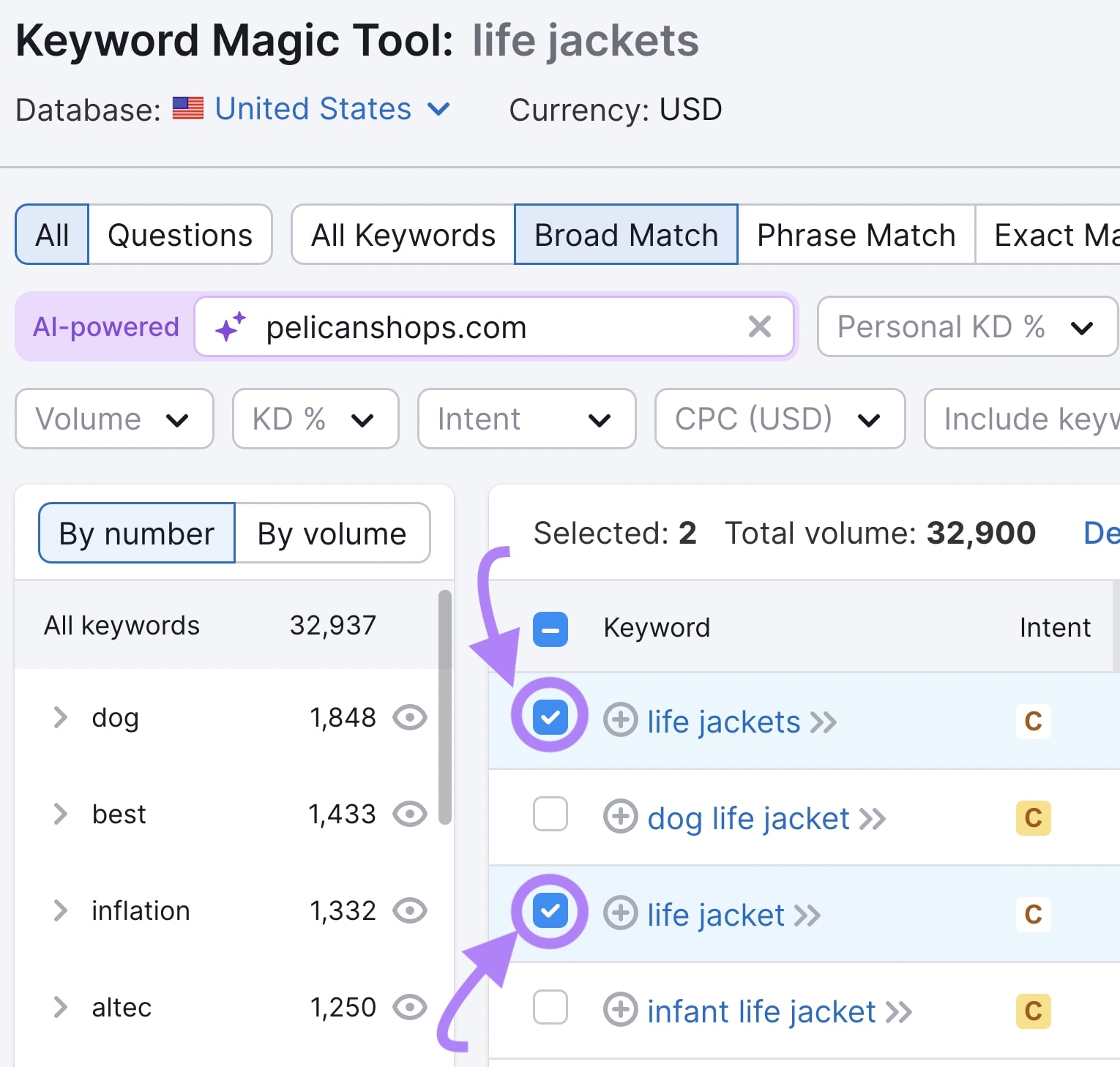 Semrush Keyword Magic Tool results with two keywords checked and highlighted