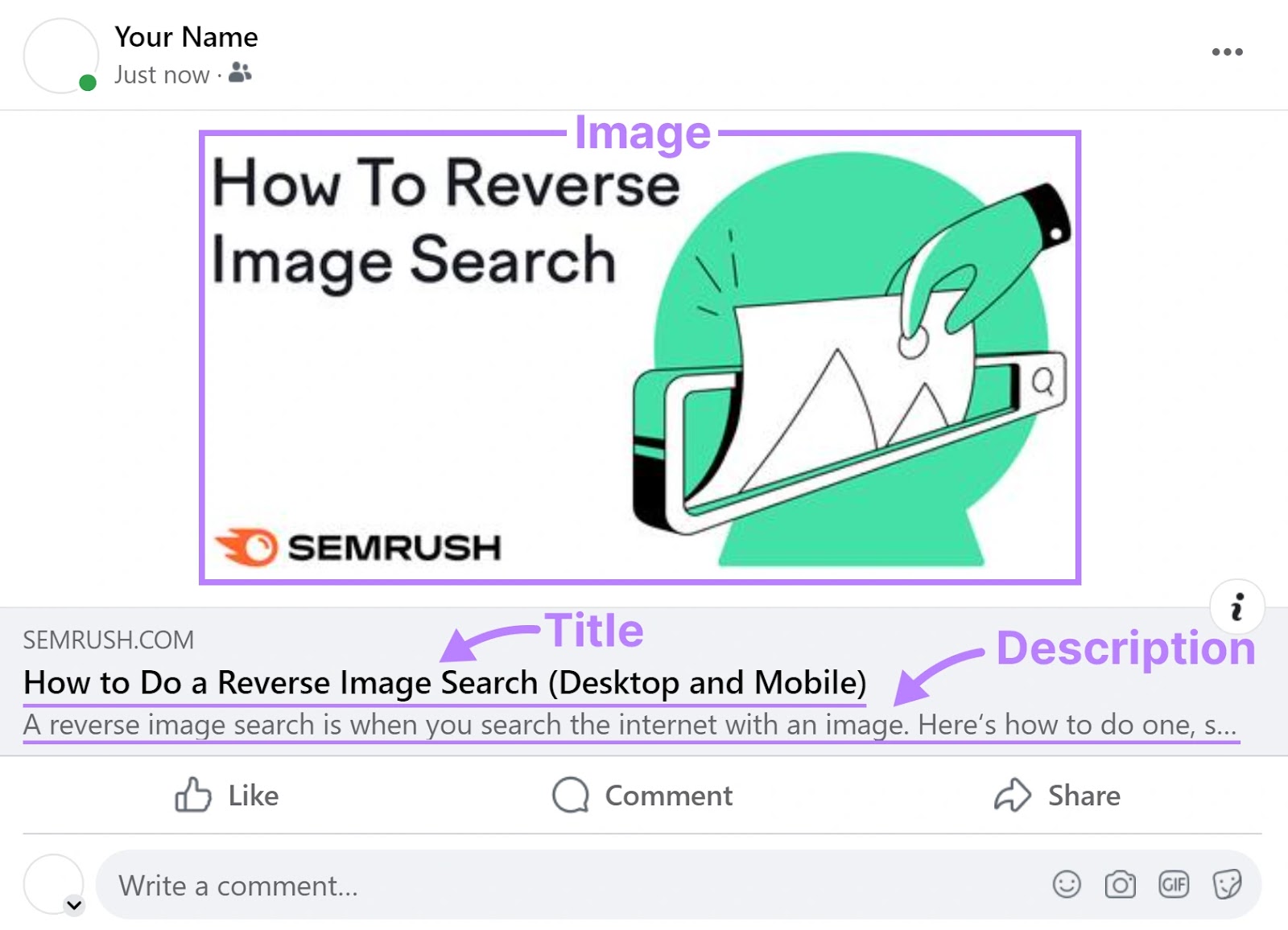 reverse image search with title and description highlighted as well as image