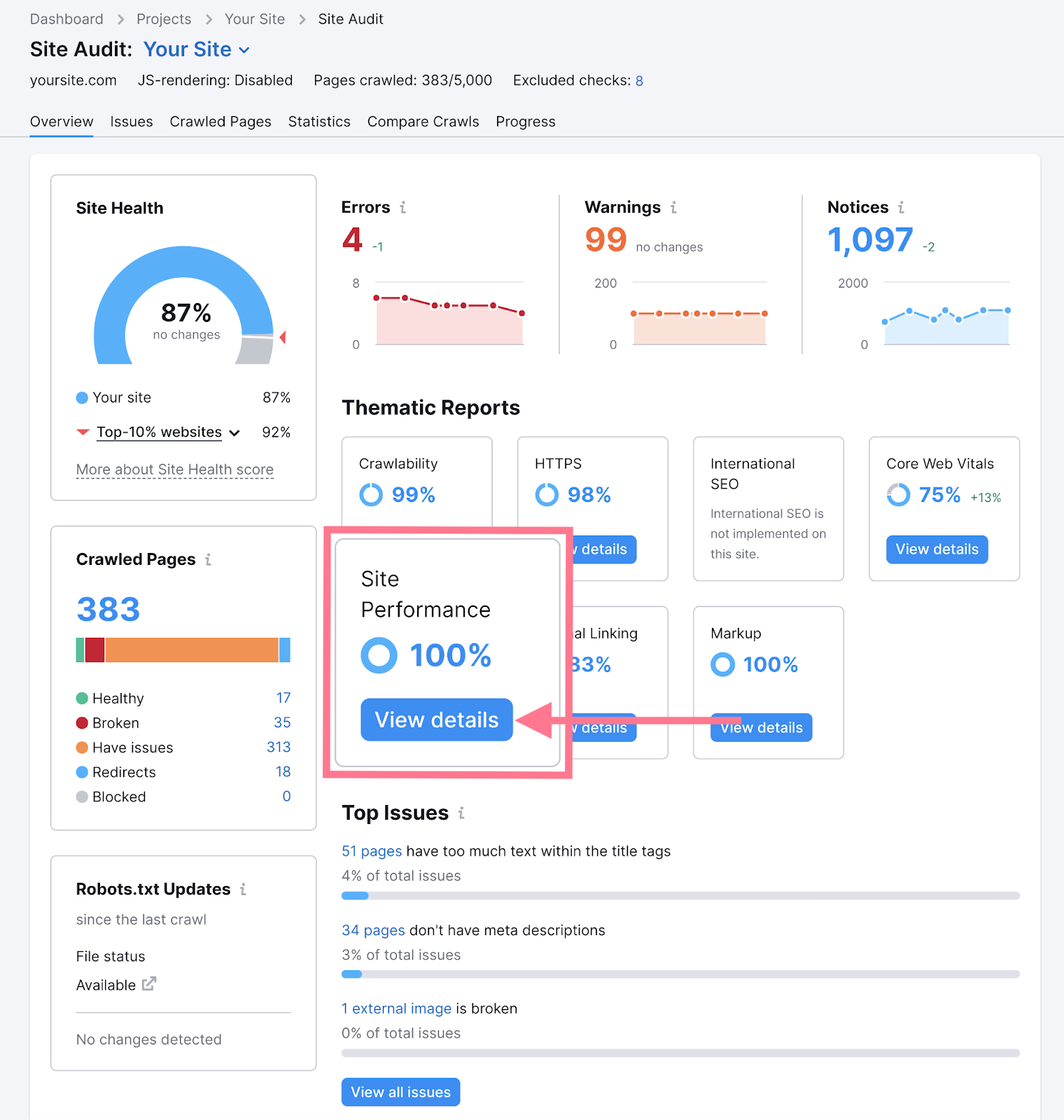 “Site Performance” section highlighted in the Site Audit "Overview" tab