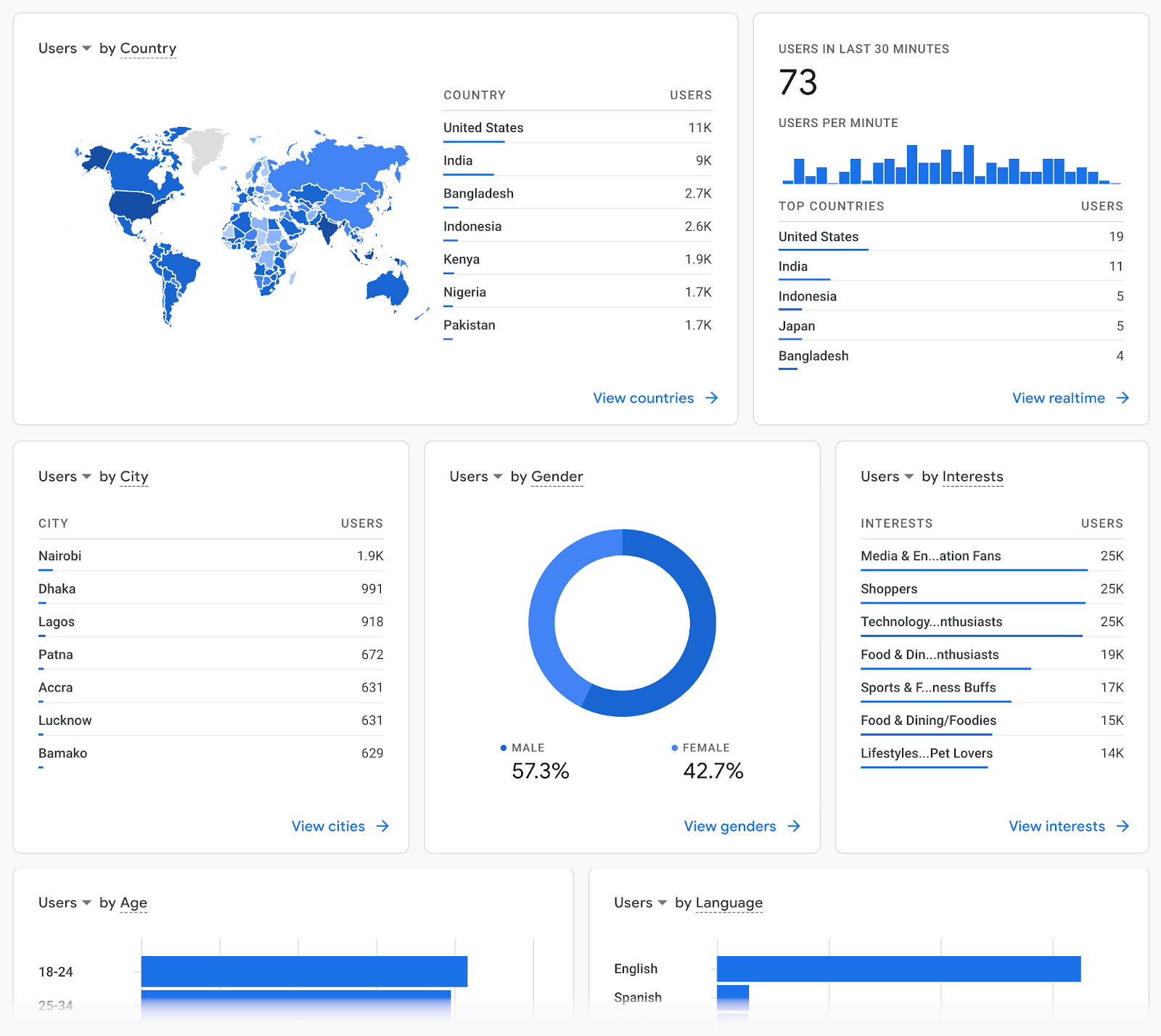 your audience demographics details