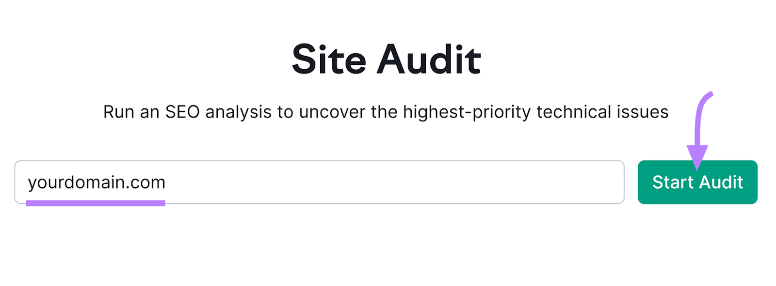 Site Audit tool search bar