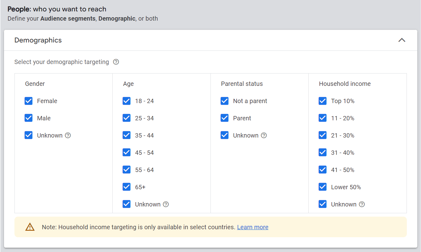 Audience's demographics options for Google Ads campaign