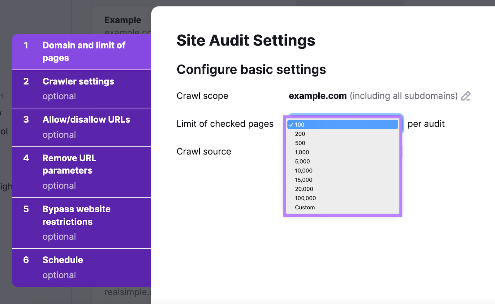 "100" selected under the “Limit of checked pages” drop-down menu