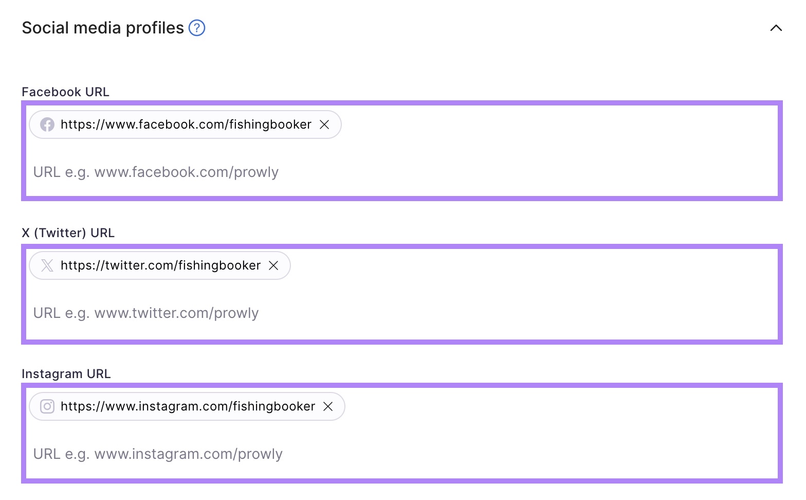 Links to social profiles on different platforms, including Facebook, X, and Instagram, on Brand Monitoring tool settings.