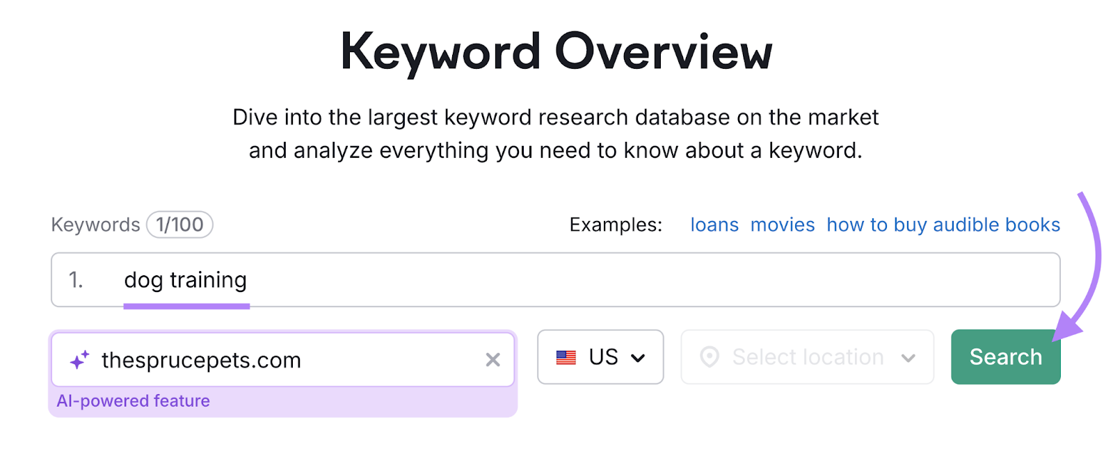 search for keyword with domain entered into Keyword Overview tool