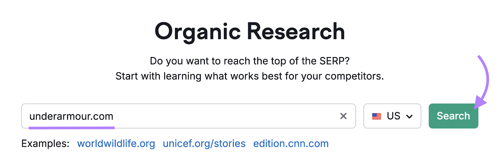 domain entered into Organic Research tool