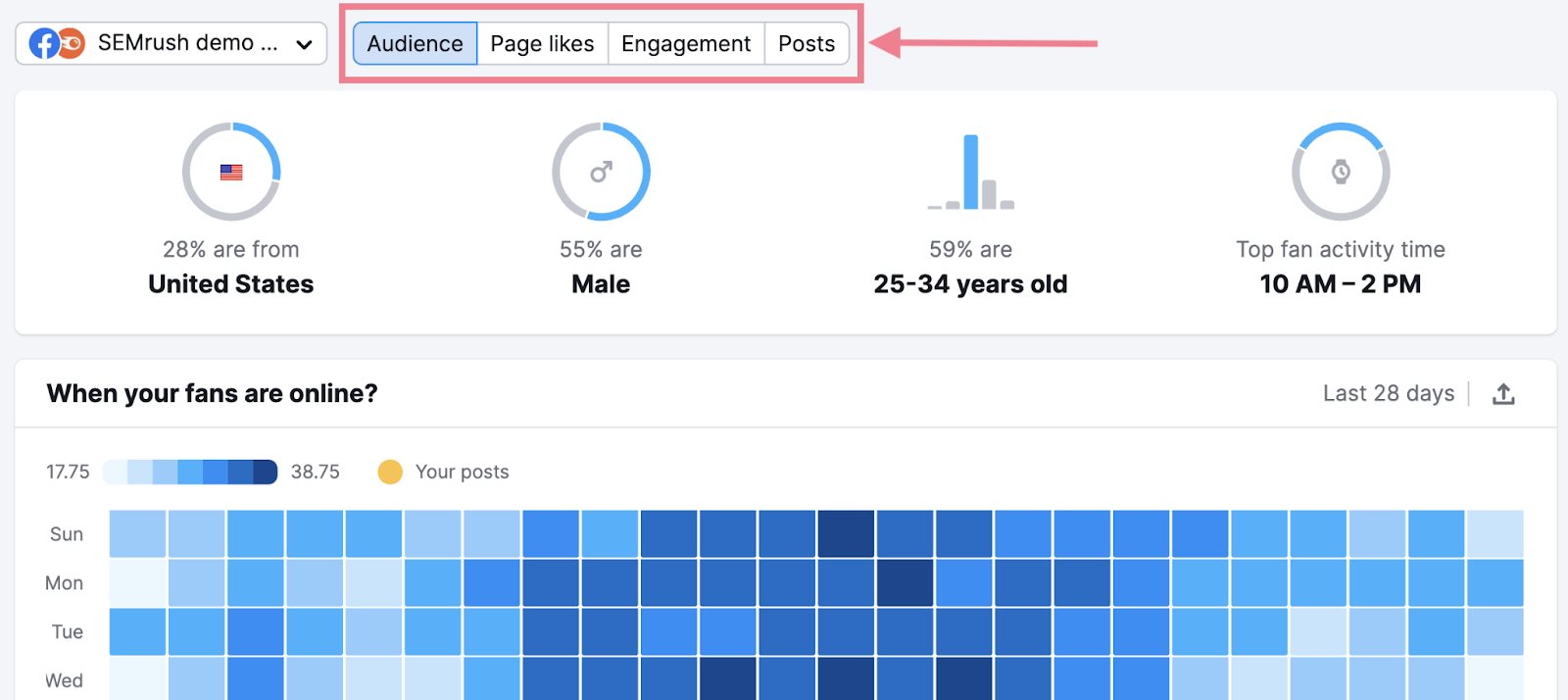 "Audience" section in Social Analytics tool