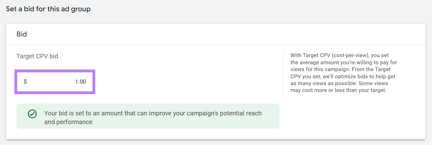 target cost-per-view (CPV) bid in Google Ads