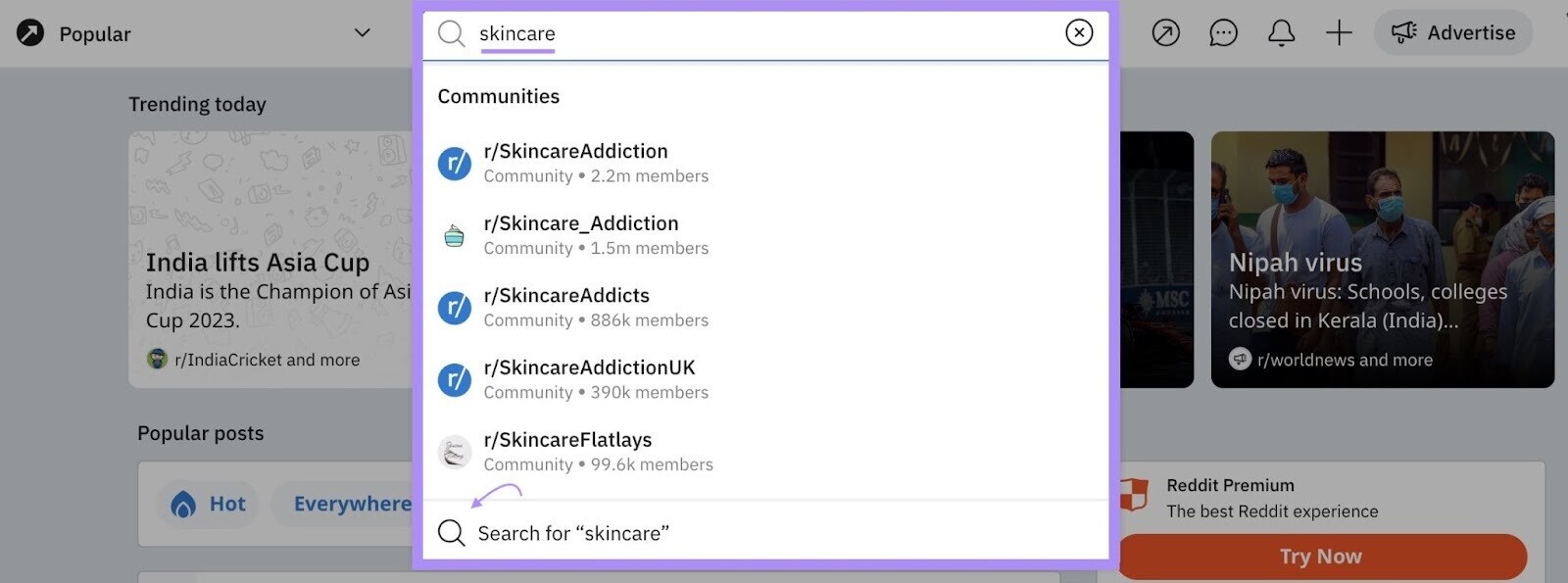 Searching for "skincare" on Reddit