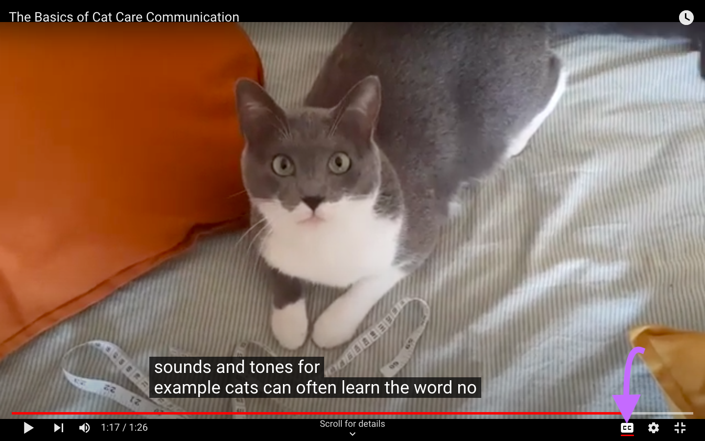 A screenshot of a YouTube video with automatic subtitles.